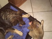 Shani und Xelie